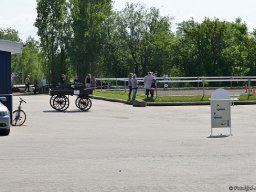 DSC_2800-157